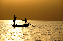 Damen eyes increased fishing operation