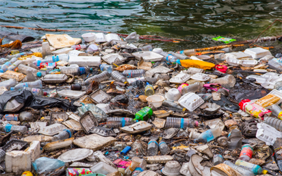 AfDB says 100,000 marine animals killed by plastic pollution every year -  Vanguard News