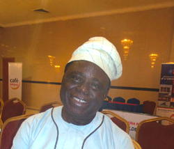 CAMA allows shareholders to be members of audit committee —Adebisi
