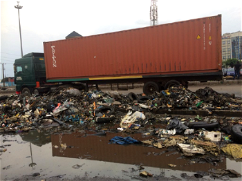 Aftermath of unabating Apapa gridlock: Illness, sudden death lurk on emerging waste dumps