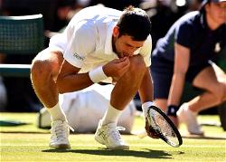 Fast food: Djokovic eats grass to celebrate fourth Wimbledon