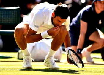 Fast food: Djokovic eats grass to celebrate fourth Wimbledon