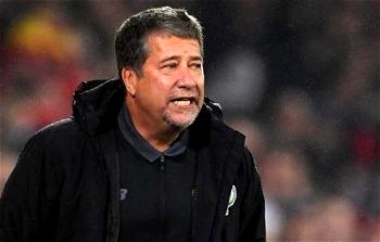 Panama World Cup coach Gomez quits