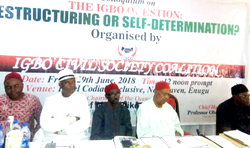 Igbo coalition votes for self- determination above restructuring