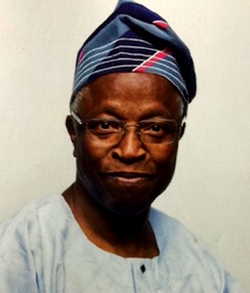 In Defence of Elite Educational Institutions by Ladipo Adamolekun