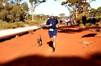 Dog finishes Australia half-marathon, wins medal