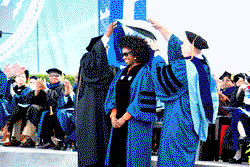 Chimamanda Adichie bags another degree