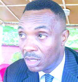 2019: There’s no hope for PDP, others – Buhari’s ally, Njeze