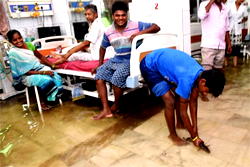Fish in hospital as rains kill 80 in north India