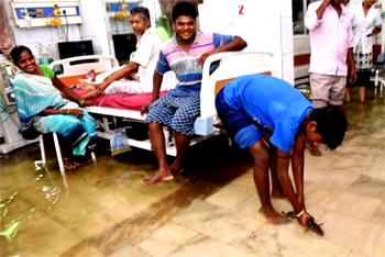 Fish in hospital as rains kill 80 in north India