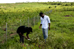 farmers, Climate change major threat to agricultural development – Expert