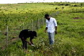 Photos: Young, rich and ambitious: Nigeria’s ‘gentleman farmers’