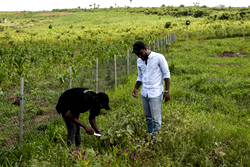 Invest in agric, protect IP, to re-double economic growth, FUTO Alumni tells FG
