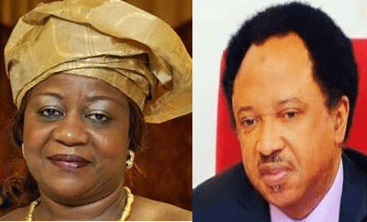 Lauretta Onochie blasts Shehu Sani, says he is ‘APC disappointment’