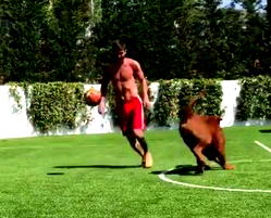 Lionel Messi, dog training