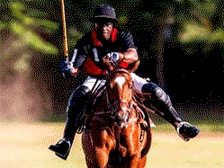 Dangote, Emir Sanusi attend Access Bank polo event