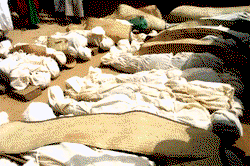 This is a final warning, Zamfara killings must stop, FG warns bandits