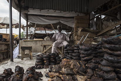 Fishermen of Lake Chad cursed by Boko Haram conflict