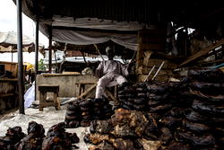 Fishermen of Lake Chad cursed by Boko Haram conflict