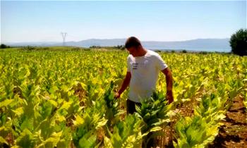 Albania to reduce Agriculture budget to address public debt