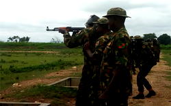 Army  kills insurgents, recovers 147 stolen livestock in Borno