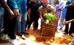 Okpanku, Enugu community plant trees to safeguard environment