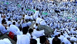 Muslims depart Arafat, ready for stoning