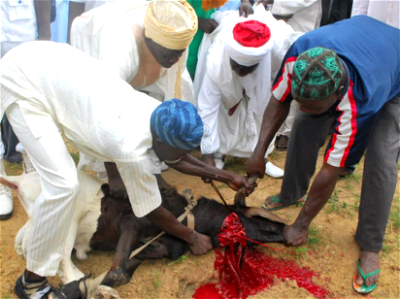 Sallah: Slaughter, process meat in hygienic place to avoid spread of diseases – Commissioner