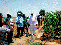 NFGCS: still powering youths with an inclusive agribusiness model
