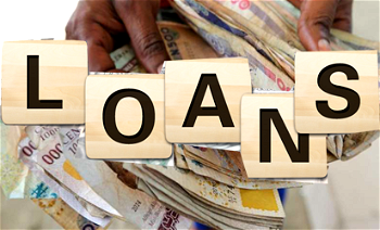 NPF Microfinance Bank loan portfolio hits N10bn