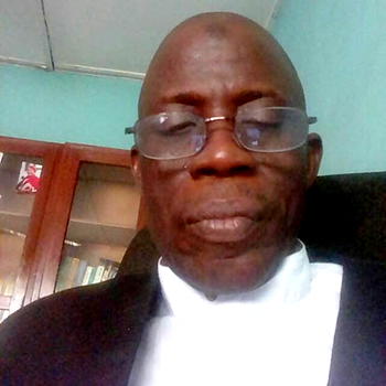 Power sector will revert to govt if I become president —Unagha