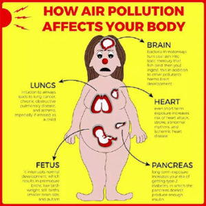 Body odour