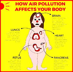 Reducing body odour