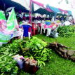 Make agriculture attractive to Nigerians, Adeniyi tells NIMN