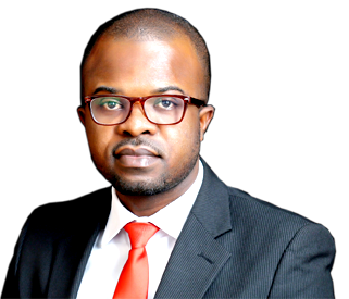 Gas commercialisation requires huge investments — Mama
