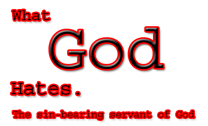 The sin-bearing servant of God