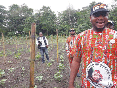 A’Ibom LG tackles poverty, unemployment with agriculture