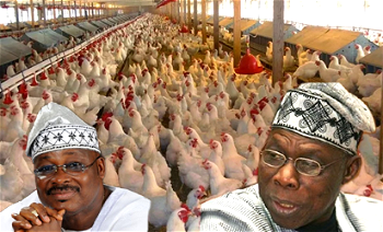 Closure of Obasanjo farms, others not political – Oyo govt