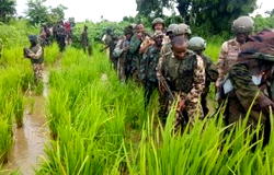 Who’s politicising the killing of Nigerian soldiers?