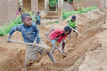 COVID-19 worsens global child labour crisis — ILO