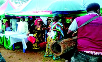 Egede, Enugu community strategises for Economic development