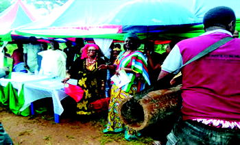 Egede, Enugu community strategises for Economic development