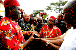 Attack on Ekweremadu : Chidoka seeks apology from IPOB