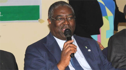 Taxpayers’ money not missing from FIRS — Fowler
