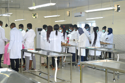 Edo University Iyamho : A model for  21st century university education in Nigeria