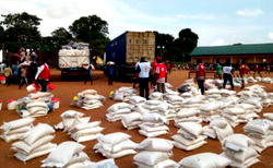 Nigerian Red Cross distribute relief materials to flood victims in Delta