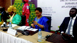 Africa losses $700m to Aflatoxin —AU chair