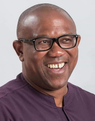 Nigerian politicians fighting over collapsed structure – Peter Obi