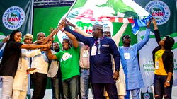 The New Nigeria: Conceived, soon to be delivered