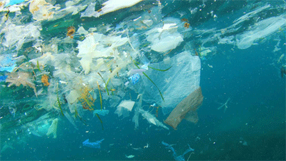 WILAT raises alarm over ocean pollution by plastic waste 